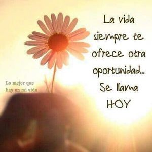 Meet your Posher, Claudia